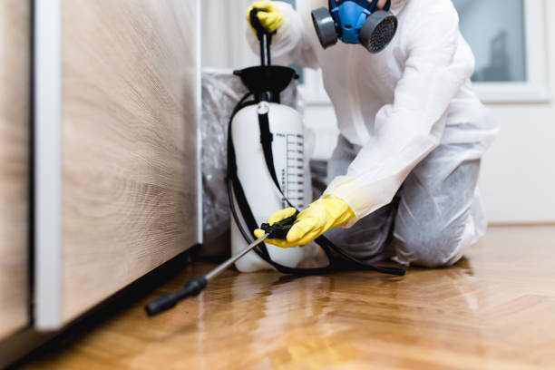 Best Affordable Pest Control Services  in Newark, CA