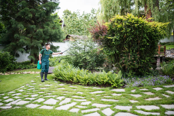 Best Ant Control Services  in Newark, CA