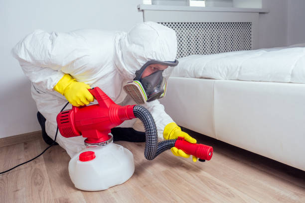 Wasp Removal Services in Newark, CA