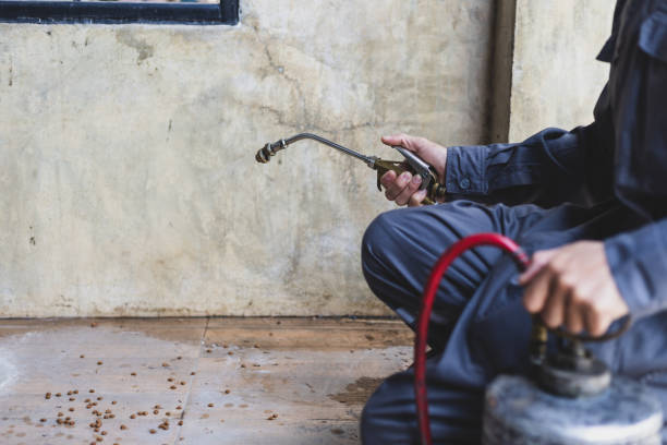 Best Rat Extermination Near Me  in Newark, CA